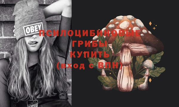 apvp Волосово