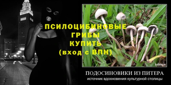 apvp Волосово